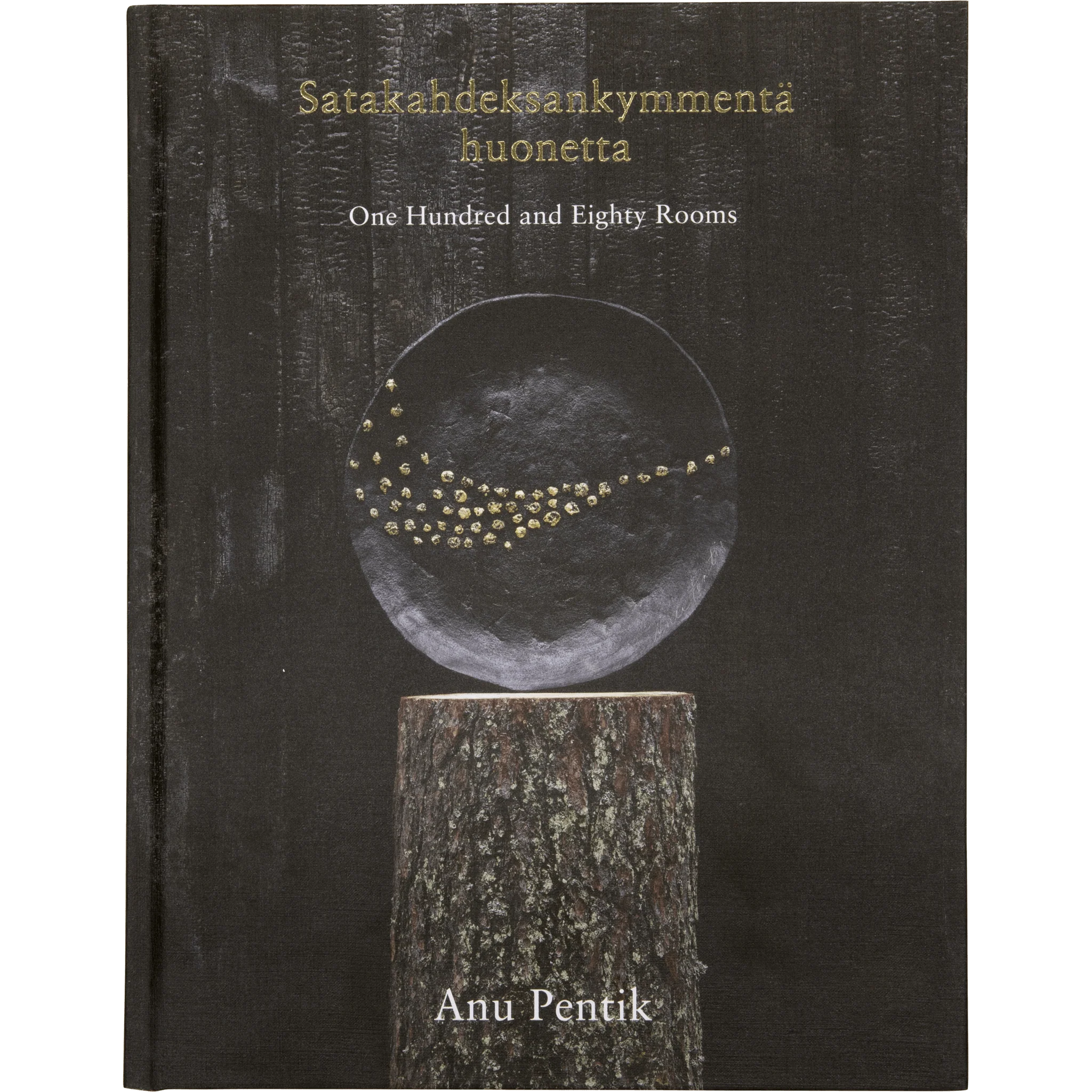 Satakahdeksankymmentä huonetta - Anu Pentik